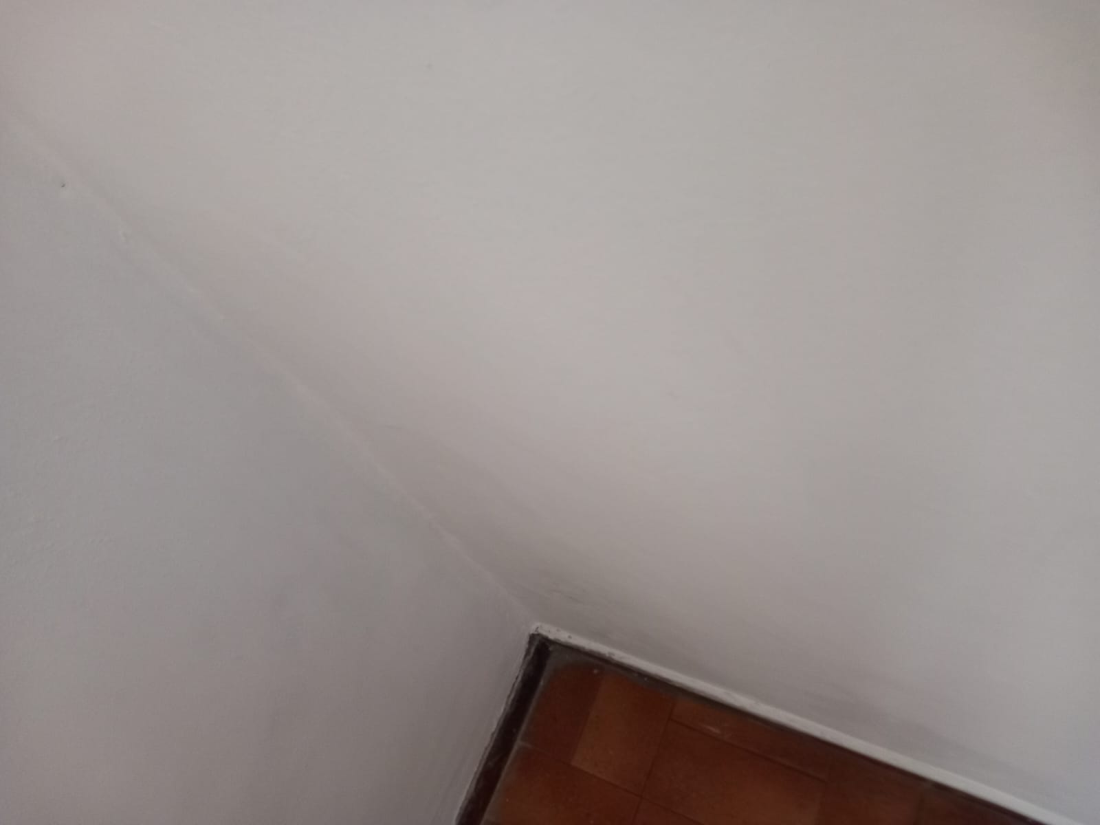 soluzione muffa
